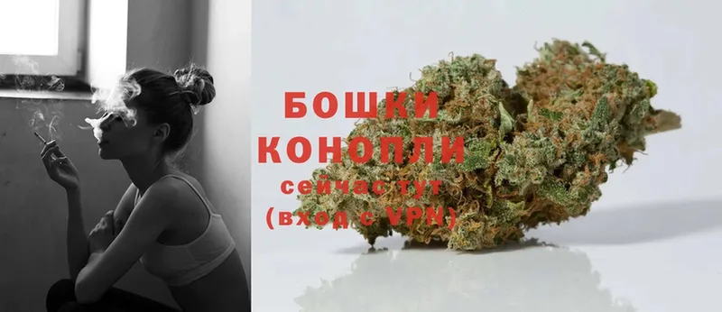 где продают наркотики  блэк спрут зеркало  Канабис LSD WEED  Костерёво 